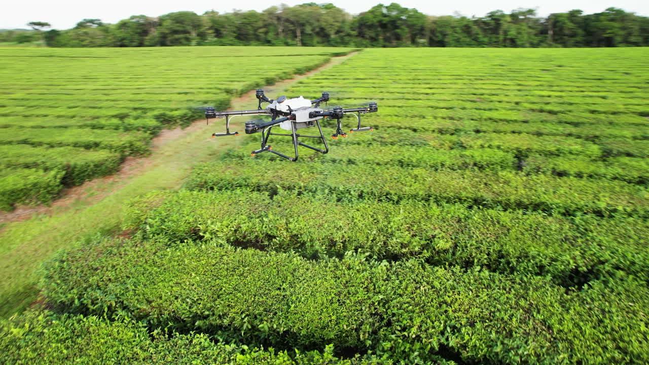 rotación de 360 grados alrededor de un dron agrícola probando sus pulverizadores de pesticidas sobre una plantación de té verde