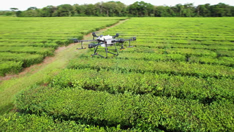 360-degree rotation around an agricultural drone testing its pesticide sprayers over a green tea plantation