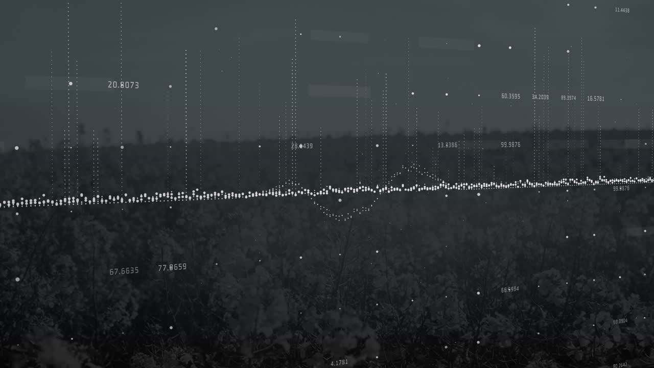 Animazione dell'elaborazione dati su un paesaggio