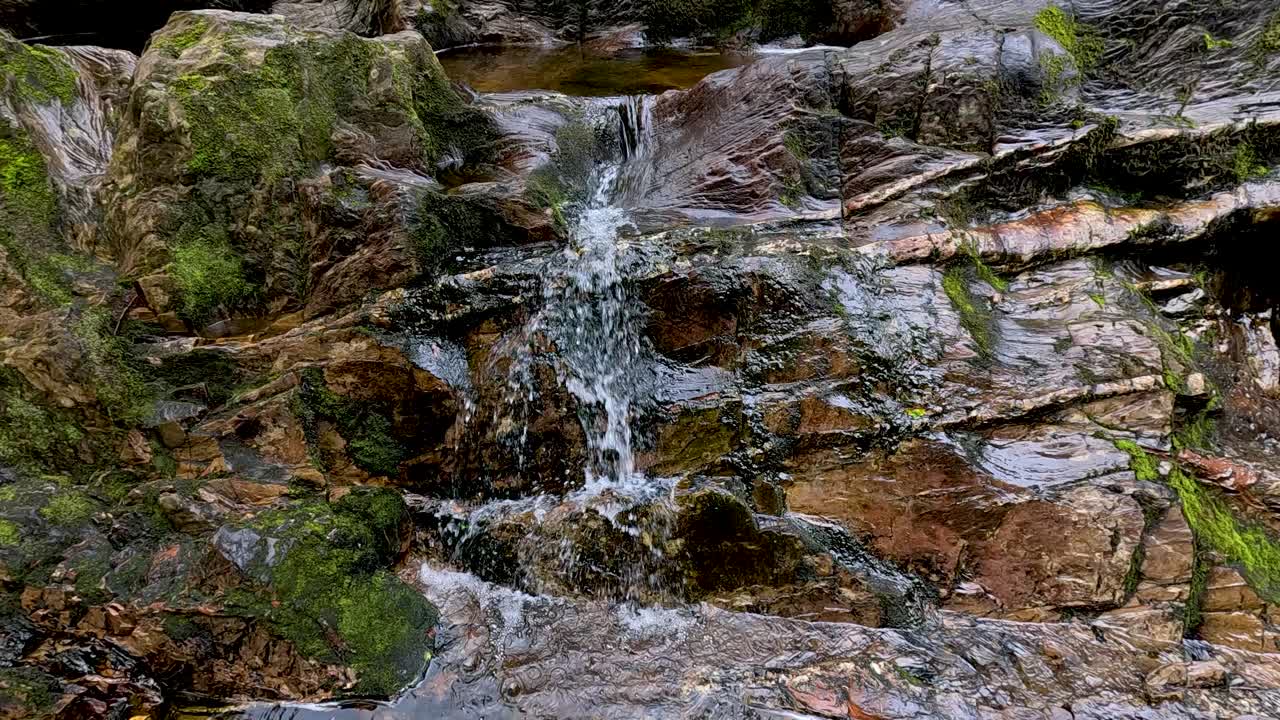Cascading waterfall in lush forest setting