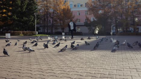 man running in city park with pigeons