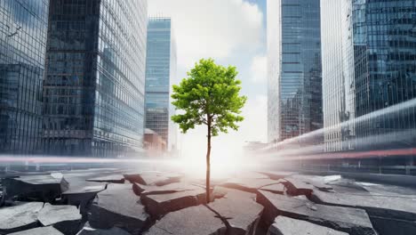 Tree Growing Through Cracked Pavement in a Cityscape