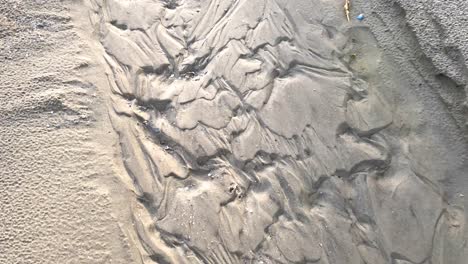 Patterns-in-the-sand-made-from-rippling-water,-waves,-and-seagulls-4K-30FPS-Slow-Motion