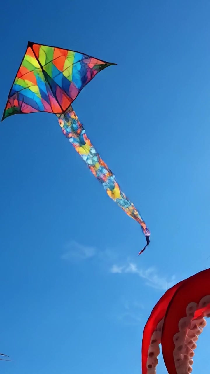 Uno spettacolo vivace di aquiloni colorati che danzano nel cielo azzurro e limpido: una celebrazione esaltante di creatività e divertimento.