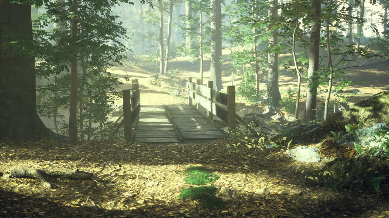 Tranquil wooden bridge in a serene forest during morning light