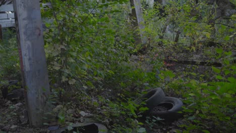 tilt-down-through-an-abandoned-overgrown-structure-in-northeast-ohio