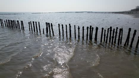 old wooden posts left in sea fish traps on river blackwater west mersea essex drone aerial footage