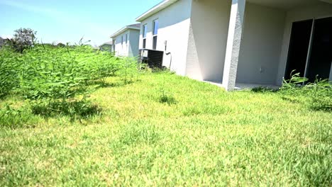 new-home-with-uncared-lawn-with-tall-grass