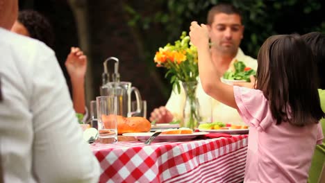 Familienessen-Im-Garten