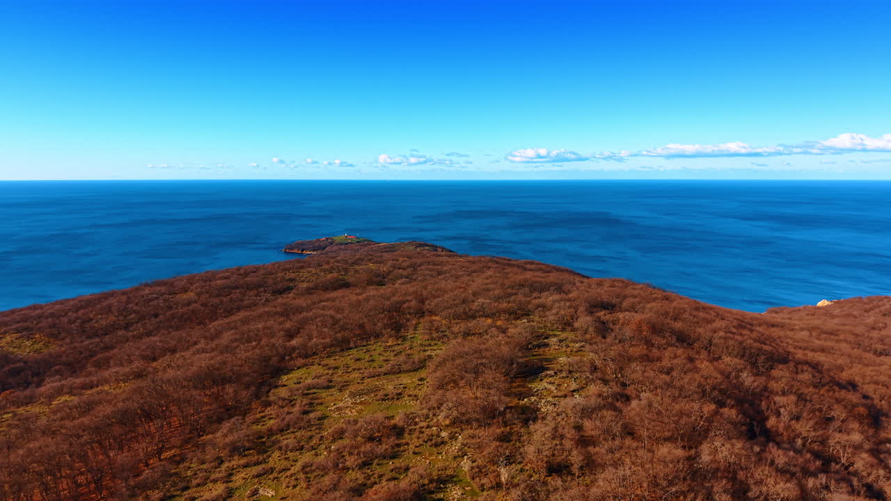 Vista aerea dall'alto di un promontorio boscoso e mare blu profondo. Ripresa drone grandangolare di una penisola alberata che si estende nell'oceano calmo sotto un cielo sereno