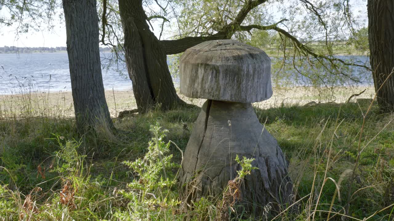 Chair shape tree trunk in Barnsdale Woods forest near Rutland water reservoir England