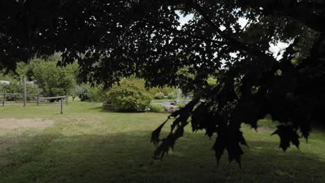 revealing a gorgeous water fountain feature from under a beautiful tree on the acreage grounds of the strathmere wedding centre and spa