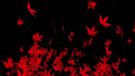 autumn maple leaves particle loop animation