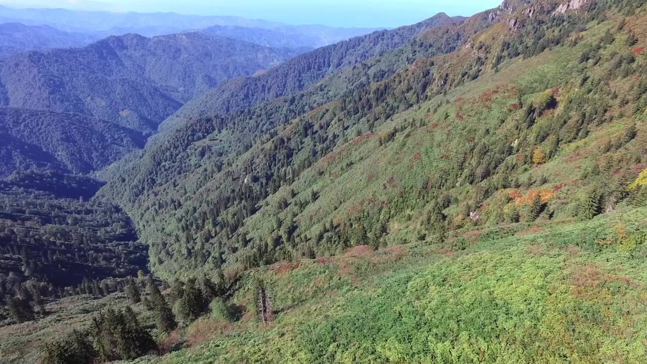 Vista aérea de exuberantes laderas verdes de montaña y valle profundo