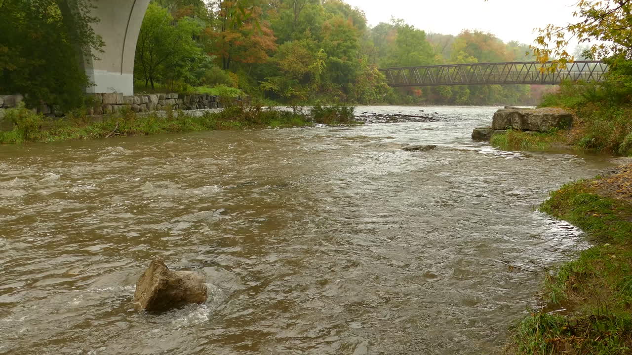 상류로 헤엄치려는 수중 물고기와 함께 흐르는 강