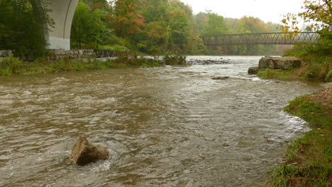 Fluss-Fließt-Mit-Fischen-Unter-Wasser,-Die-Versuchen,-Stromaufwärts-Zu-Schwimmen