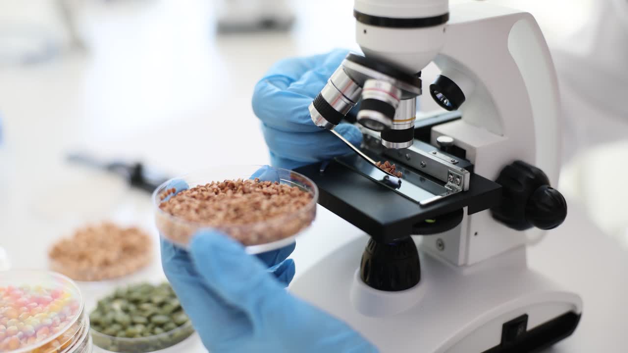 Seed analysis in a laboratory with a microscope