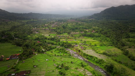 Beautiful,-misty-valley-with-rice-terraces-in-Bali,-Indonesia,-chilly-feel