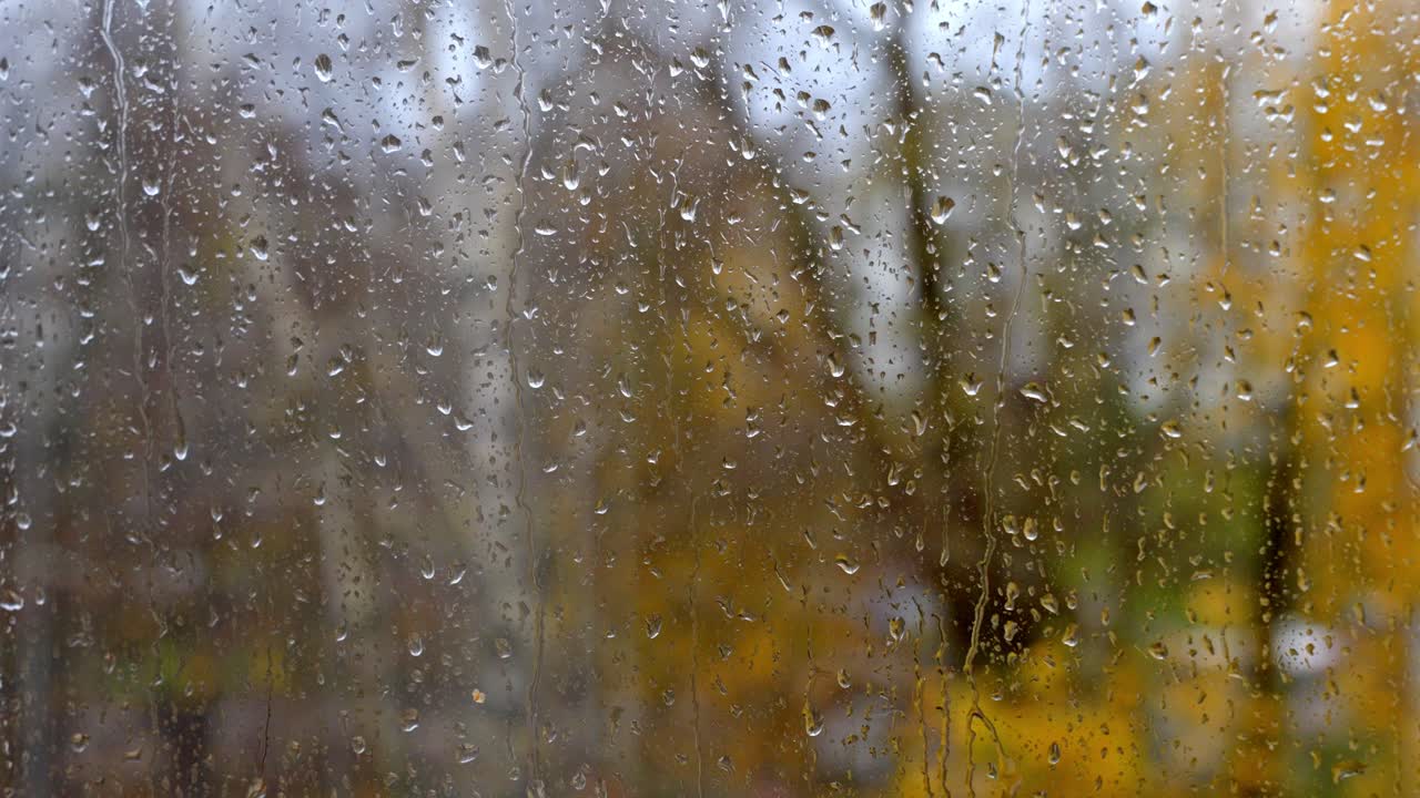 Rain Drops Pitter Pattering On Glass Window. Static Camera Using Bokeh Effect To Create A Moody Autumn, Nature, Forest Background.