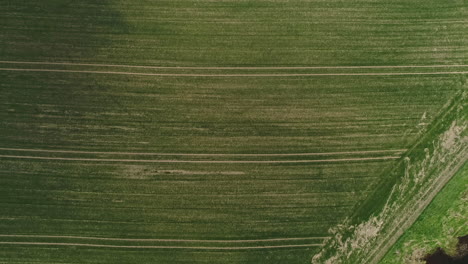 overhead view of a green field at daytime in the countryside