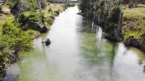 flying-just-above-the-river,-near-large-section-of-cypress-trees---Aerial-footage-of-Blanco-river---Wimberly,-TX