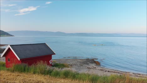 orbiting kayakers padling parallel to beachfront