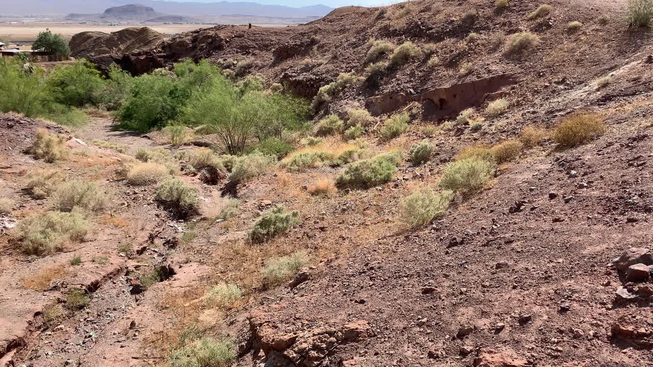 tierra seca del desierto con algunas plantas verdes vivas