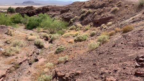 Tierra-Seca-Del-Desierto-Con-Algunas-Plantas-Verdes-Vivas.