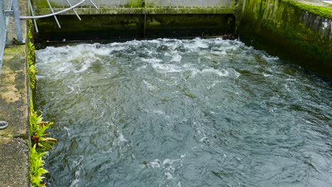 water swirl in reservoir at a wastewater sewage treatment plant, mossy concrete