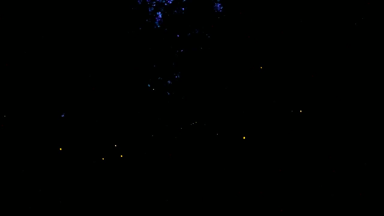 저녁에 숲 위를 날아다니며 빛나는 반 ⁇ 불이의 영상