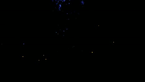 imágenes de luciérnagas volando y brillando sobre el bosque por la noche
