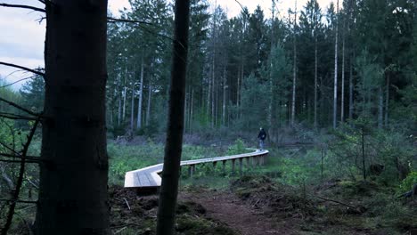 wooden path through a forest