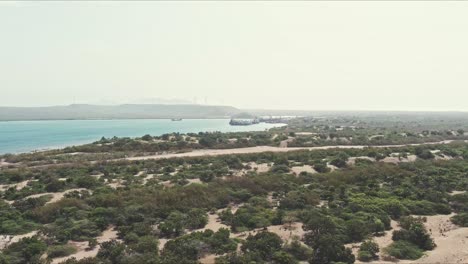 Aerial-view-over-green-vegetation-and-the-Dunes-of-Bani,-in-Dominican-Republic---reverse,-drone-shot