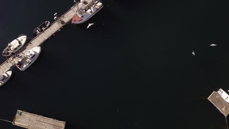 Top-down-shot-of-a-small-harbor-in-Hamnoy,-Norway