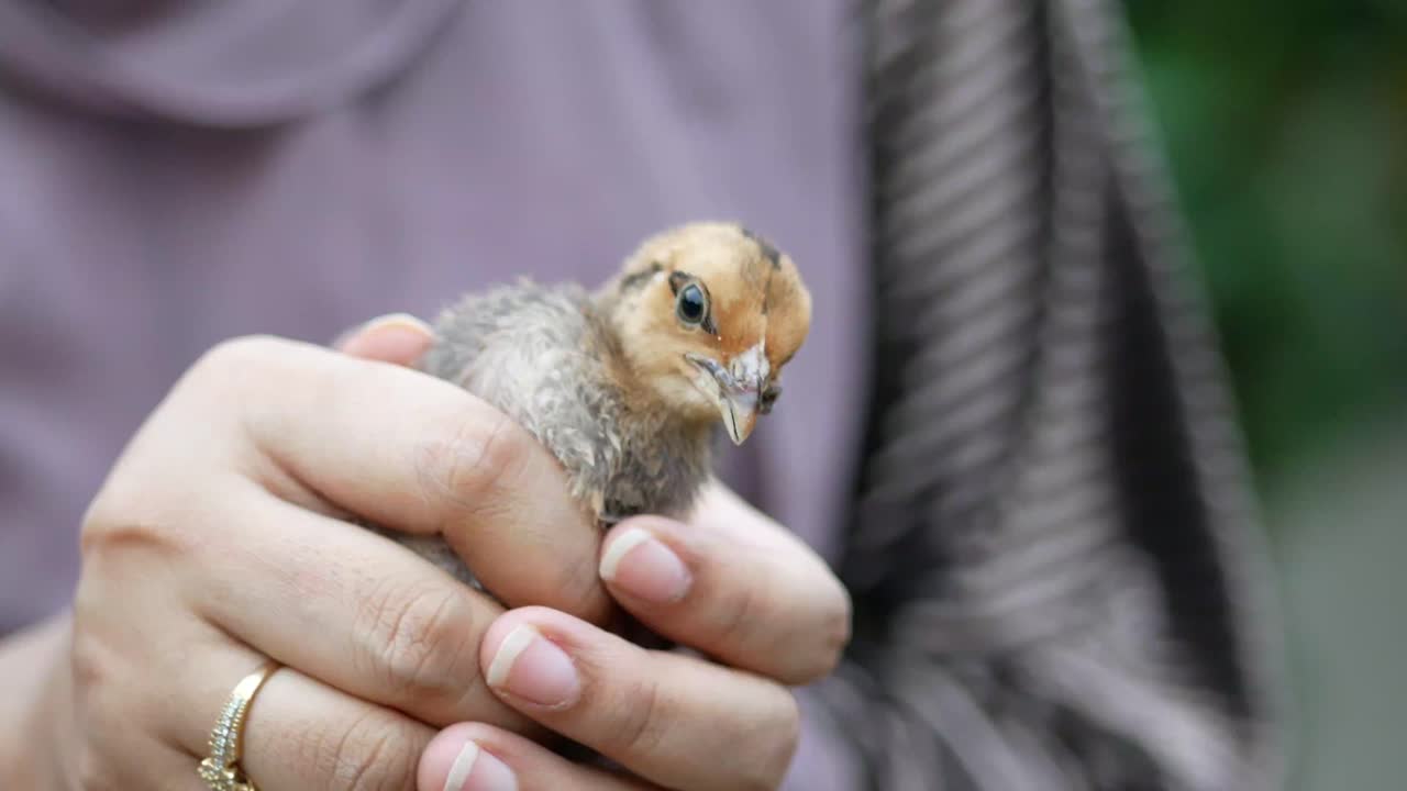 손에 들고 있는 작은