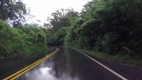 pov car driving in maui hawaii