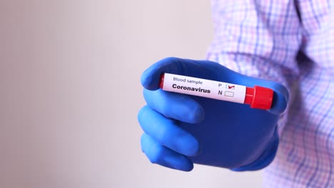 coronavirus blood test