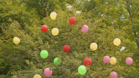 view of chinese lanterns hanging from trees during daytime in thailand.