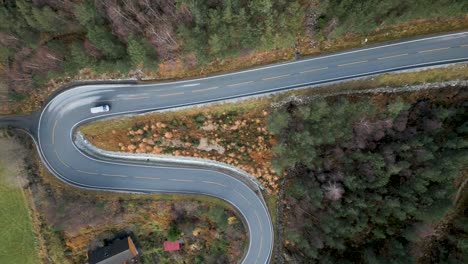 a van drives on a winding mountain road surrounded by lush greenery and forest