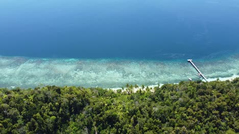 aerial view of coastline with coral reef, crystal clear ocean water and dense rainforest on remote tropical island in raja ampat, west papua, indonesia