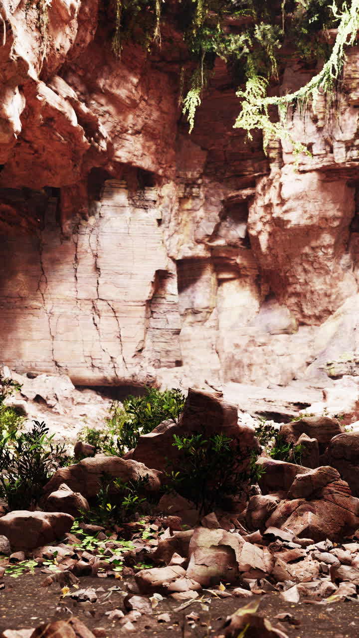 una cueva en el bosque