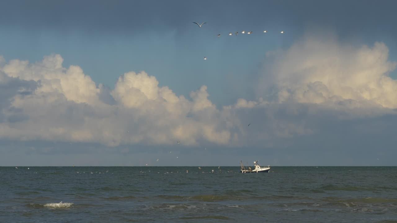Fishing boat sailing surrounded by seagulls on sunny day