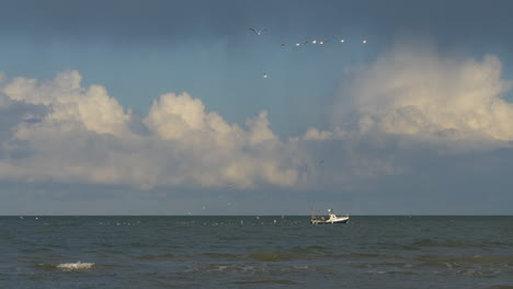 Fishing-boat-sailing-surrounded-by-seagulls-on-sunny-day