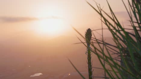 sunsets on a mountain range on the california coast