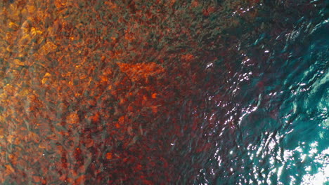 top down view of a rock pool, looking at the rocks under the water, bright sunshine