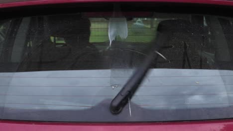 pollen written on the back window of a car being washed away by wipers