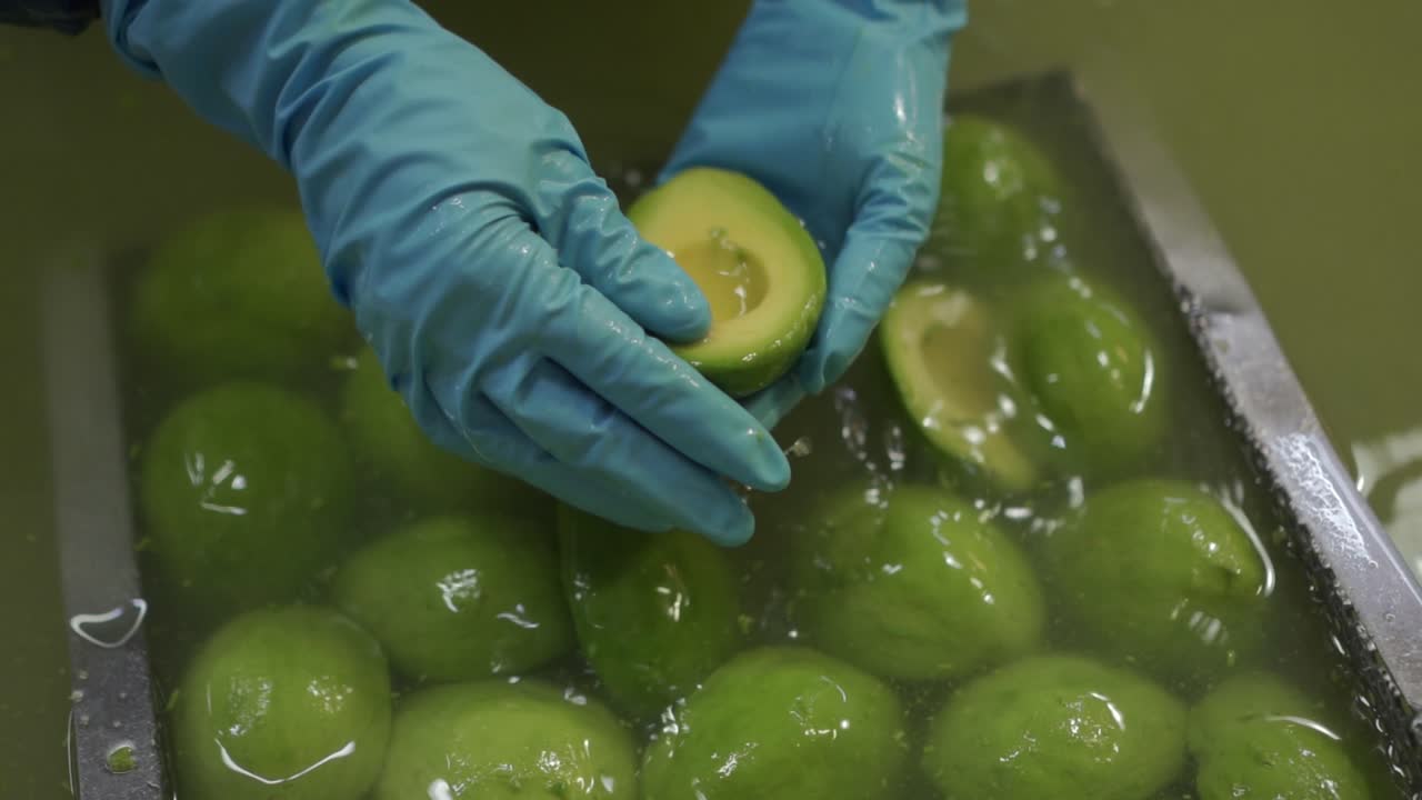 mitades de aguacate flotando sobre el agua