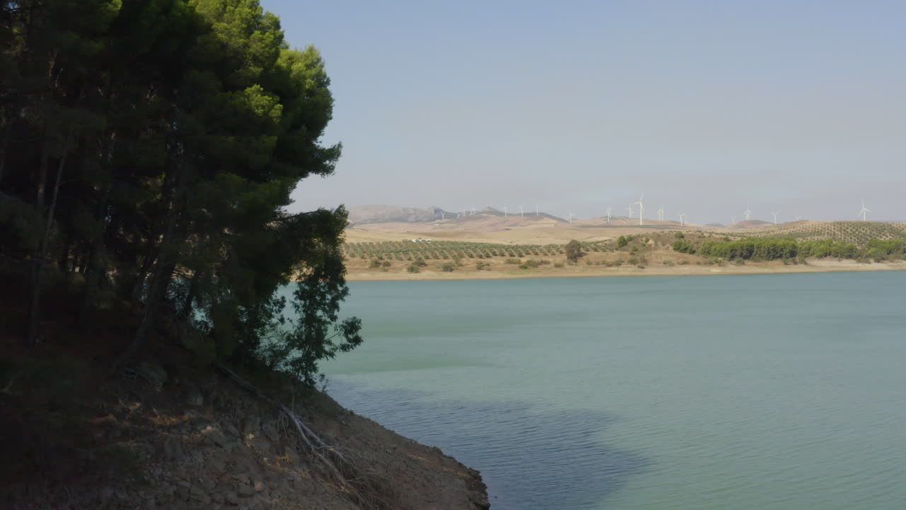 árboles coníferos por el lago caminito del rey,españa,aerogeneradores más allá
