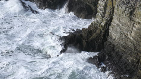 Wellen,-Die-Gegen-Felsen-Unter-Einer-Kolonie-Von-Meeresvögeln-Schlagen