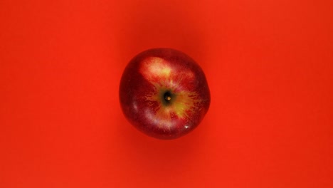 la fruta madura de la manzana entera gira alrededor de su eje sobre un fondo rojo.